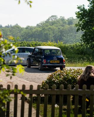 Mini Classic Mini